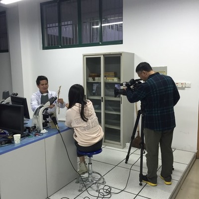 中國農業硅谷網 探訪農業智能化快繁中心，解鎖現代農業新篇章